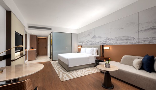 Room, 1 King Bed, Accessible