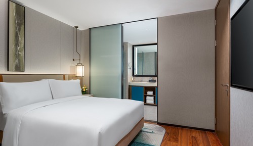 Suite, 1 Queen Bed