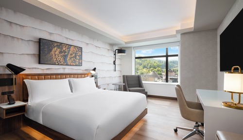 Standard Room, 1 King Bed, Roll-in Shower (Mobility)