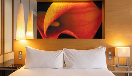 Classic Room, 1 Queen Bed, Roll-in Shower (Roll-In Shower)