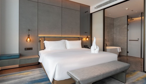 Room, 1 King Bed, City View