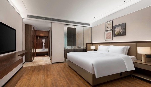 Standard Room, 1 King Bed with Sofa bed, Non Smoking
