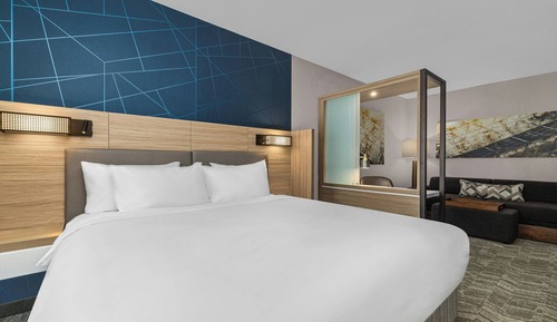 Suite, 1 King Bed with Sofa bed