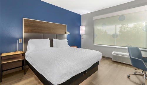 Room, 1 King Bed