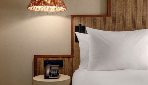 Room, 1 King Bed