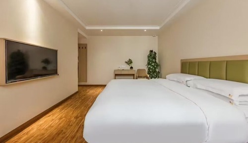Basic Single Room