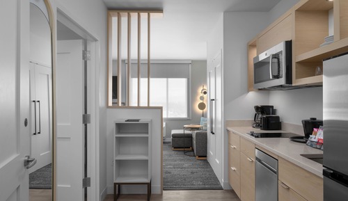 Studio, 1 King Bed with Sofa bed (Mobility Accessible, Tub)