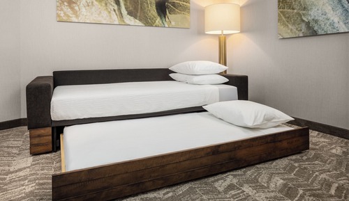 Suite, 1 King Bed with Sofa bed (Hearing Accessible)