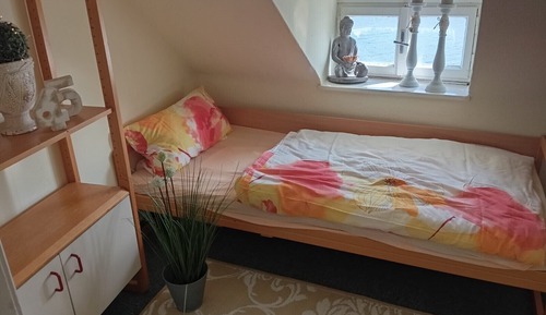 Basic Single Room