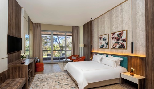 Deluxe Suite, Park View (Nariman)