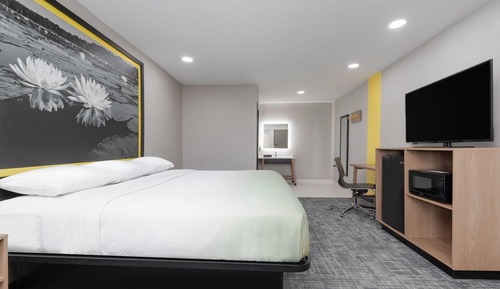 Room, 1 King Bed, Non Smoking