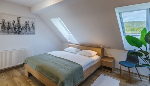 Classic Room, Private Bathroom