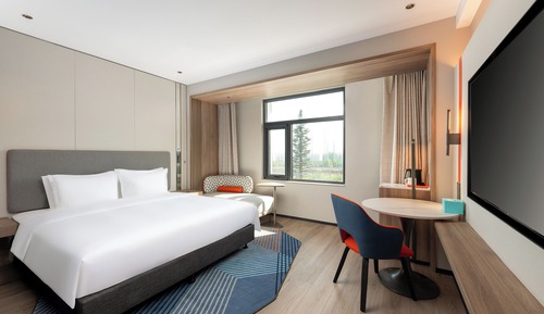 Standard Room, 1 King Bed, City View