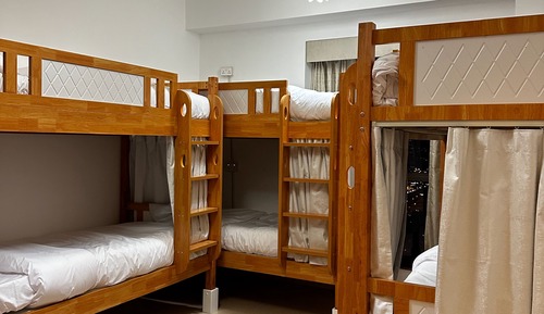 Bunk Bed in 8-bed Mixed Dorm Room - R2
