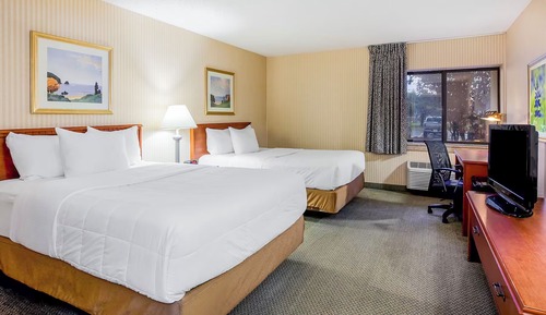 Standard Room, 2 Double Beds, Non Smoking