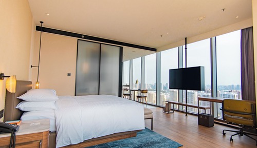 Studio, 1 King Bed, City View