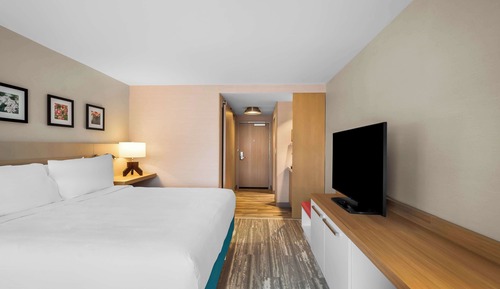 Room, 1 King Bed