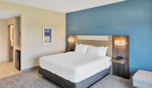 Standard Room, 1 King Bed, Roll-in Shower (Mobility Accessible)