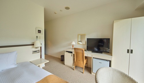 Standard Single Room, Non Smoking, Private Bathroom