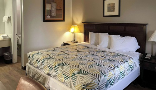 Deluxe Room, 1 King Bed, Non Smoking, Refrigerator & Microwave