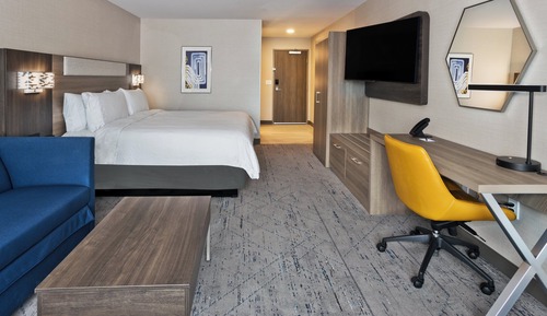 Suite, 1 King Bed with Sofa bed