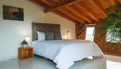 Exclusive Room, 1 King Bed, Mountain View