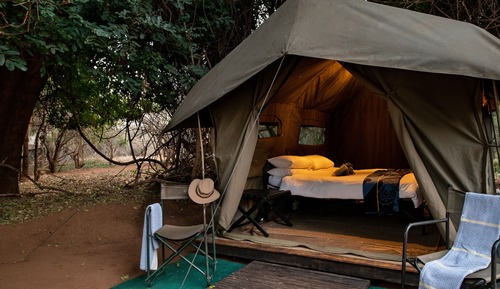 Basic Tent