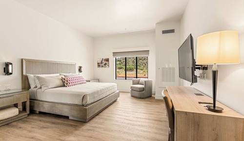 Standard Room, 1 King Bed, Non Smoking (Premium View, Pet-Friendly)