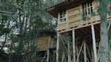 Deluxe Bungalow