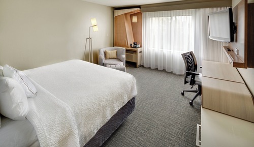 Room, 1 King Bed, Non Smoking (Mobility Accessible, Roll-In Shower)