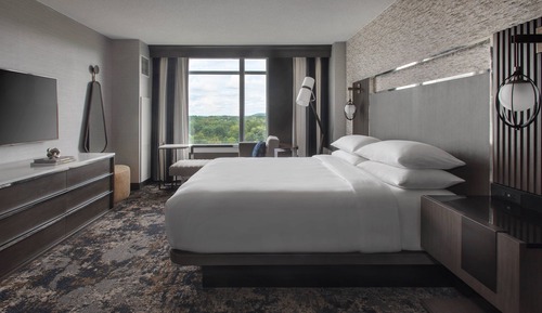 Studio Suite, 1 King Bed with Sofa bed