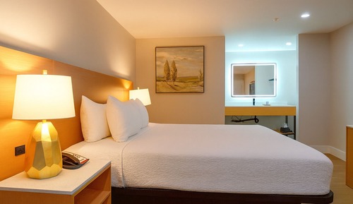 Room, 1 King Bed