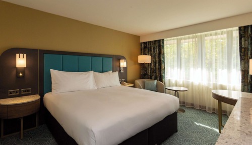 Superior Room, 1 King Bed