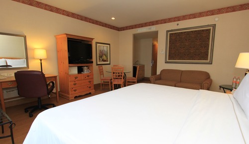Suite, 1 King Bed (Living)