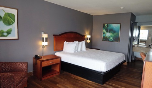 Suite, 1 King Bed, Smoking, Kitchen