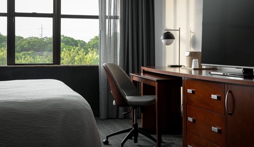 Room, 1 King Bed with Sofa bed