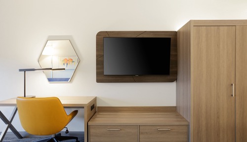 Suite, 1 King Bed with Sofa bed