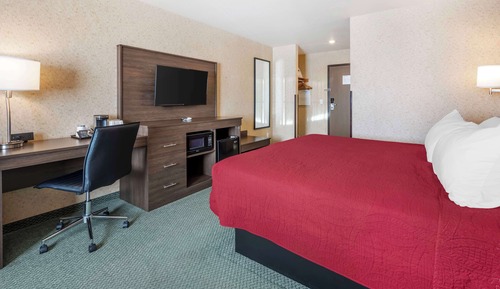 Standard Room, 1 King Bed, Accessible, Refrigerator & Microwave