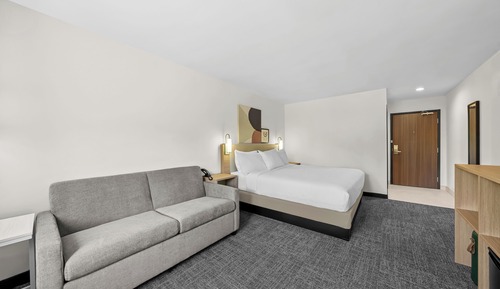 Room, 1 King Bed with Sofa bed