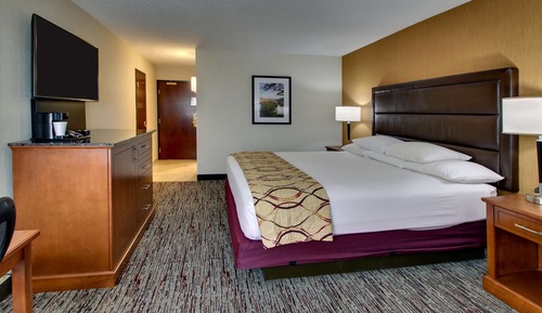 Room, 1 King Bed, Accessible (Tub)