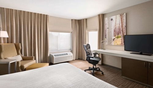Room, 1 King Bed, Accessible, Bathtub (Mobility & Hearing)