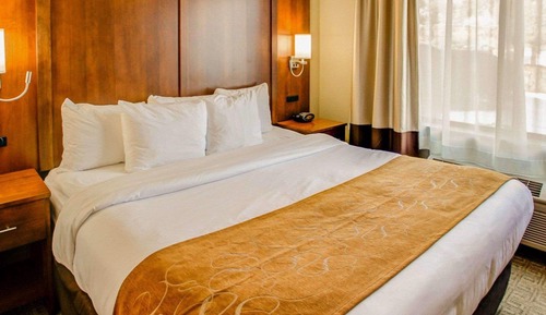 Room, 1 King Bed with Sofa bed, Accessible, Non Smoking