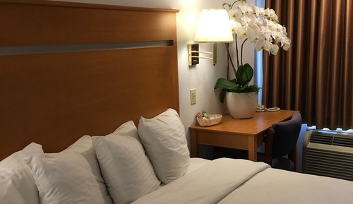 Deluxe Room, 1 King Bed, Jetted Tub, Non-Smoking, Street View (includes 1 parking space)