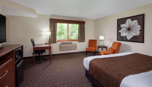 Room, 1 King Bed, Non Smoking