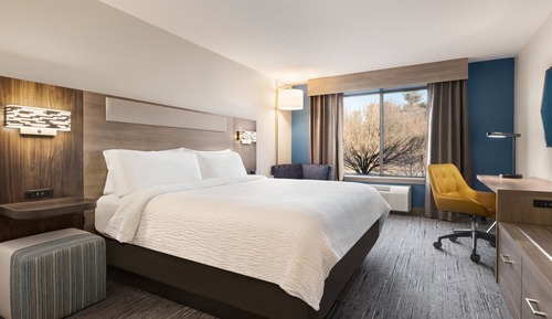 Standard Room, 1 King Bed, Accessible (Mobility, Accessible Tub)