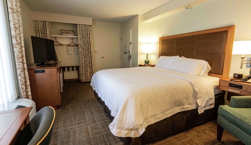 Room, 1 King Bed, Non Smoking, Refrigerator & Microwave
