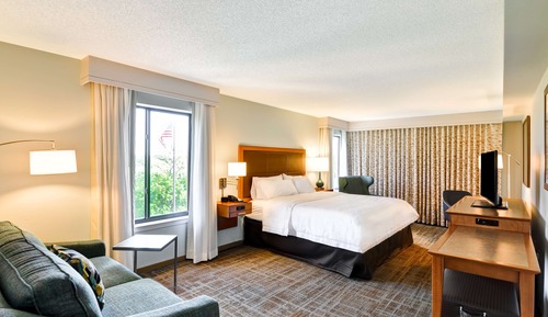 Suite, 1 King Bed with Sofa bed, Non Smoking