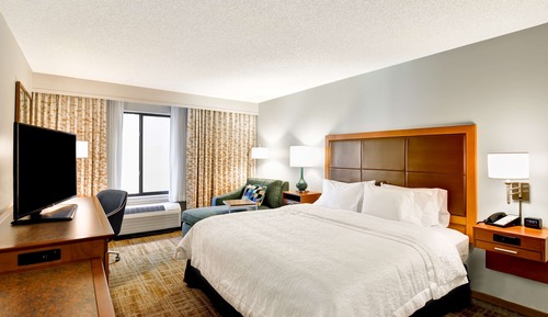 Room, 1 King Bed, Non Smoking (with Chaise Lounge)