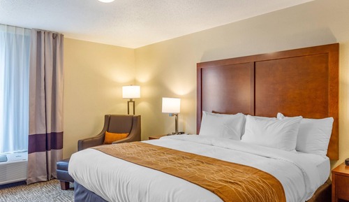 Suite, 1 King Bed with Sofa bed, Non Smoking (Upgrade)
