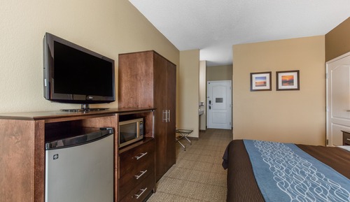Standard Room, 1 King Bed, Non Smoking